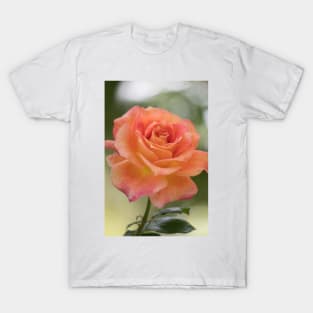 Vegas Rose T-Shirt